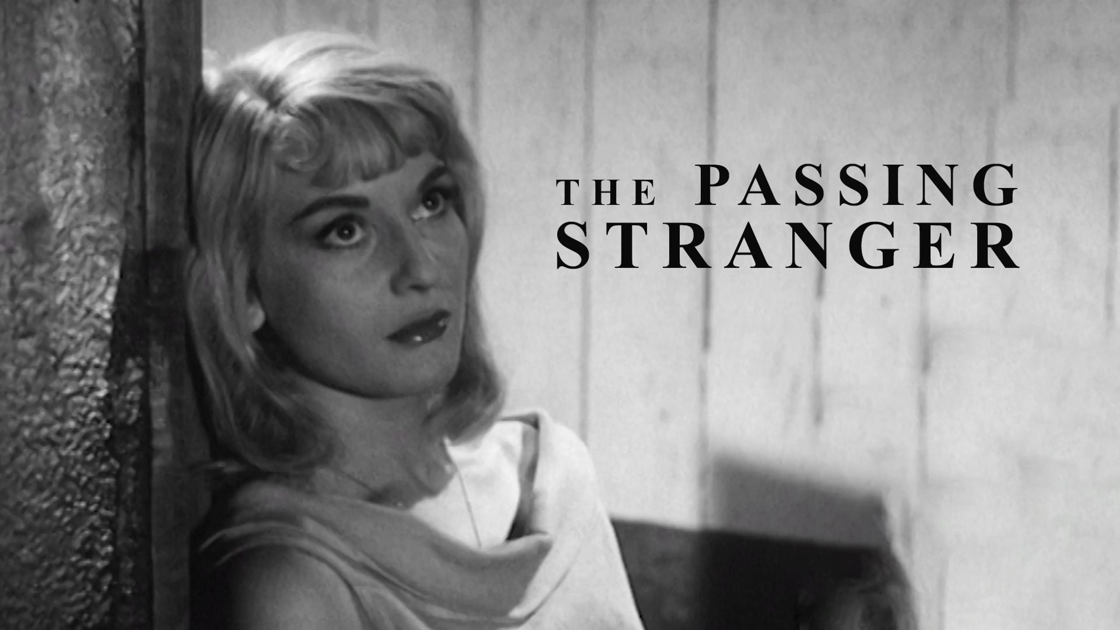 The Passing Stranger poster